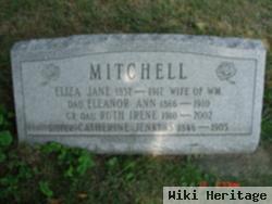 Eleanor Ann Mitchell