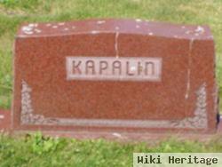 Karel Kapalin