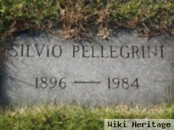 Silvio Pellegrini