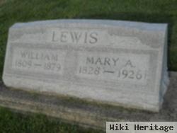 Mary Ann Larsh Lewis