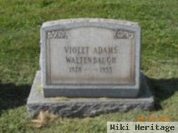 Violet Adams Waltenbaugh