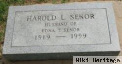 Harold Lewis Senor