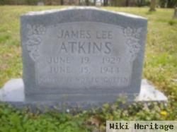 James Lee Atkins