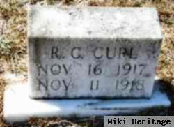 R. C. Curl