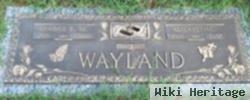 George Edward Wayland, Sr