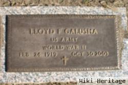 Lloyd Ford Galusha