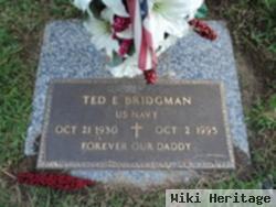 Ted E Bridgman