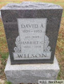 David Albert Wilson