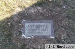 Anthony Ernest "tony" Metzinger