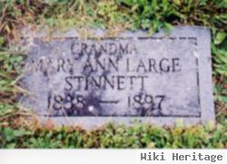 Mary Ann Large Stinnett