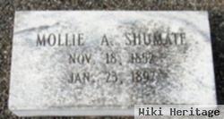 Mary White "mollie" Adams Shumate