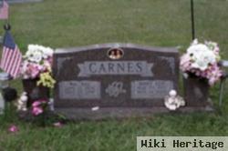 Mary Lou Elkins Carnes