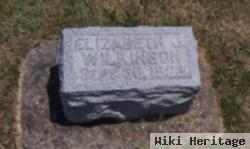 Elizabeth J. Wilkinson