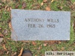 Anthony Wills