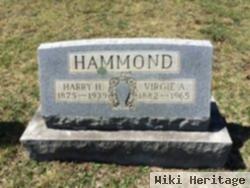 Harry H. Hammond