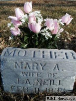 Mary Ann Butler Neill