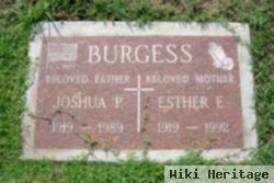 Joshua Paul Burgess