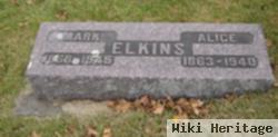 Alice Jones Elkins