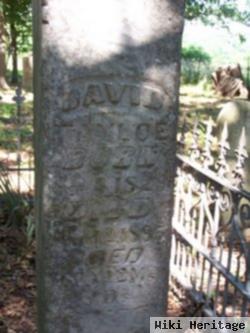 David C Tayloe