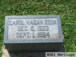 Carol Ann Hagan Zook