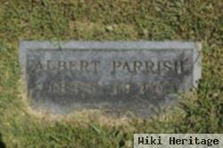 William Albert Parrish