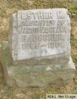 Esther M Bauscher