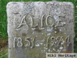 Alice Long