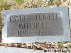 Estes Tribble Mitchell