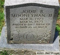 Jodie B Mooneyhan, Ii