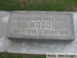 Andrew Jackson Wood