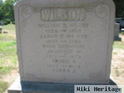 Minnie B. Wilson