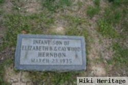 Infant Herndon