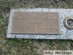 James Andrew Jackson