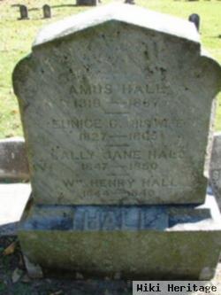 William Henry Hall