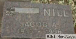 Jacob A Nill