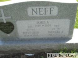 James A Neff