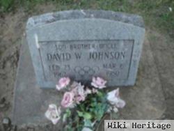 David W Johnson