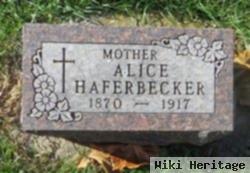 Alice Haferbecker