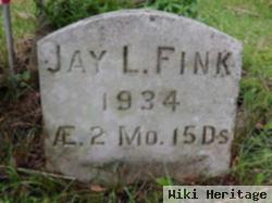 Jay L Fink