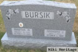 Anthony J Bursik