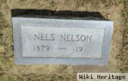 Nels Edwin Nelson