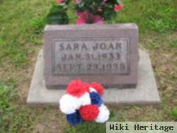 Sara Joan Parks