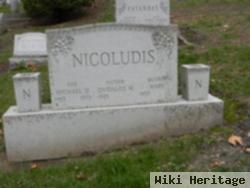 Michael D Nicoludis