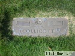 Mary J Collicott