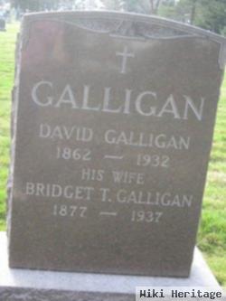 Bridget T Galligan