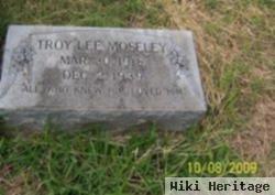 Troy Lee Moseley