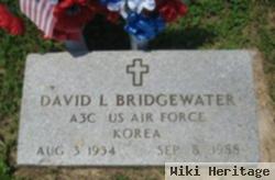 David L Bridgewater