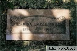 Hermina Grosshenrich