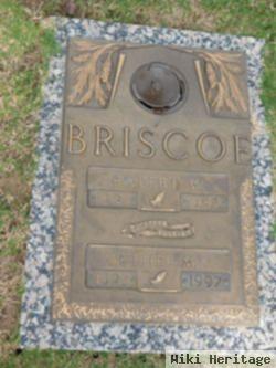 Robert W Briscoe