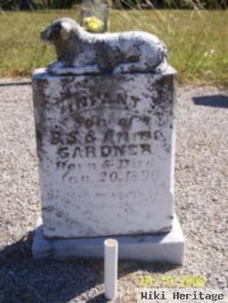 Infant Gardner